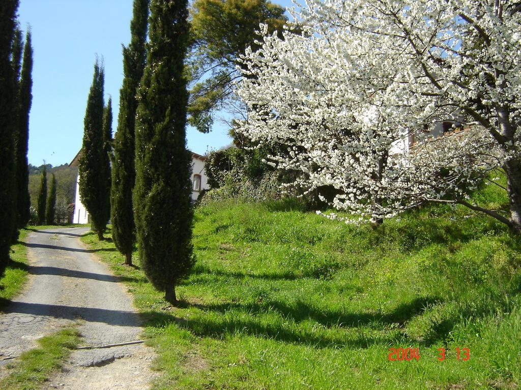 Podere"Sulle Soglie Del Bosco" Appartament And Rooms Pescia Exteriér fotografie