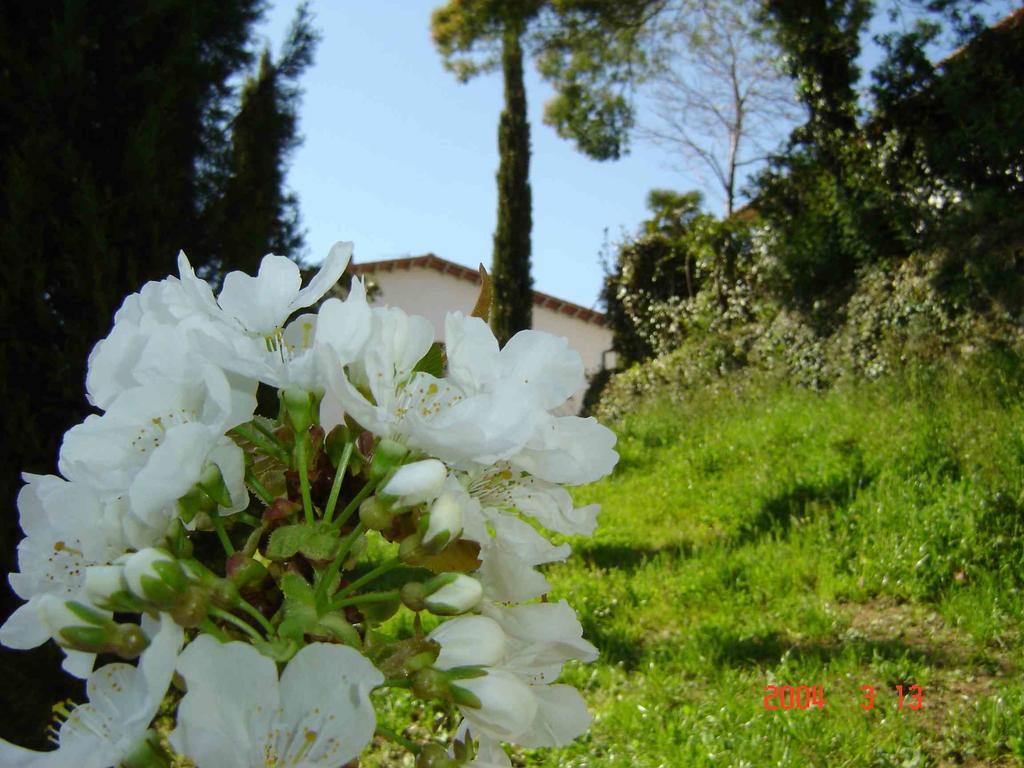 Podere"Sulle Soglie Del Bosco" Appartament And Rooms Pescia Exteriér fotografie