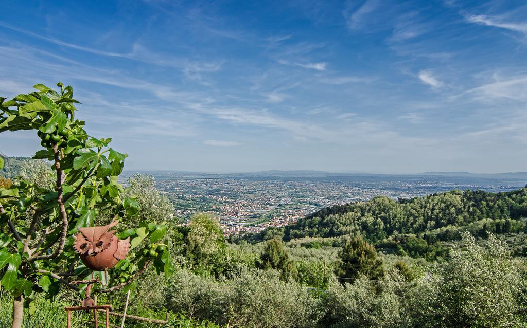 Podere"Sulle Soglie Del Bosco" Appartament And Rooms Pescia Exteriér fotografie