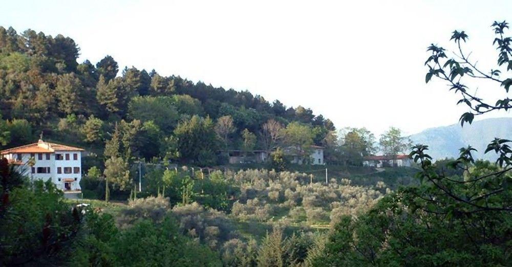 Podere"Sulle Soglie Del Bosco" Appartament And Rooms Pescia Exteriér fotografie