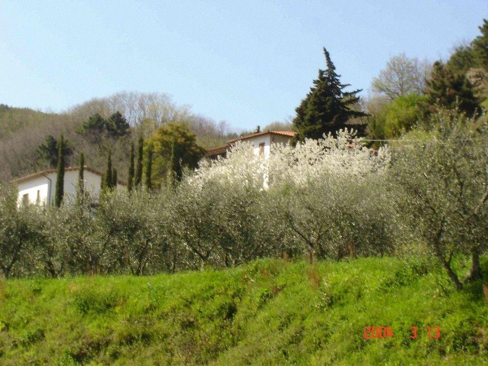 Podere"Sulle Soglie Del Bosco" Appartament And Rooms Pescia Exteriér fotografie