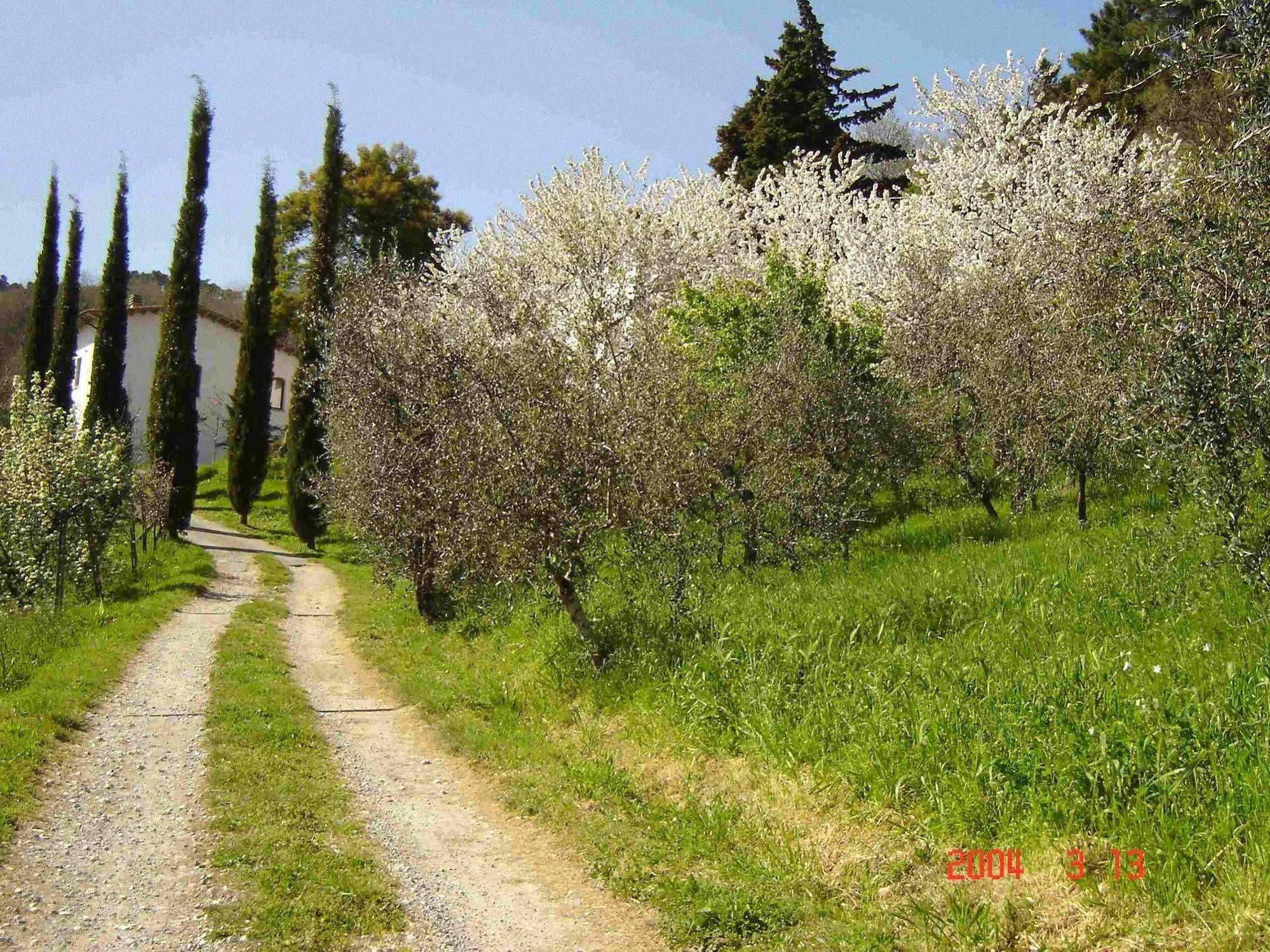 Podere"Sulle Soglie Del Bosco" Appartament And Rooms Pescia Exteriér fotografie